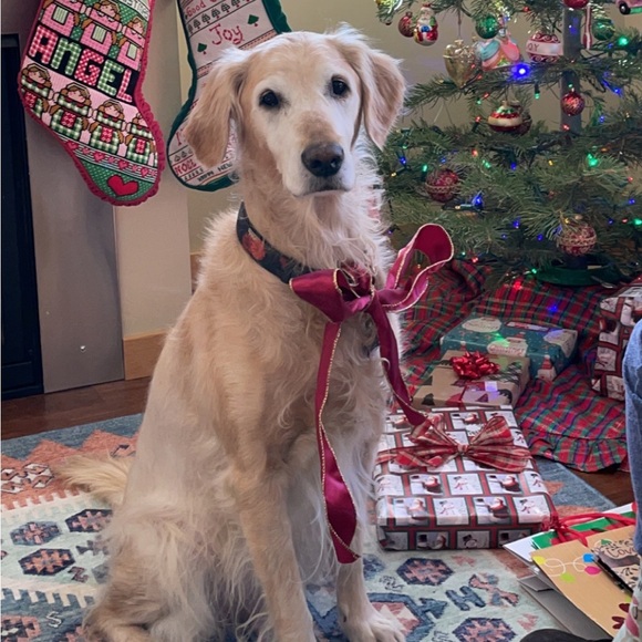 Meet your Posher, Melissa - Picture 1 of 1